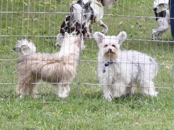 2011_10_01_FunDay_025.JPG