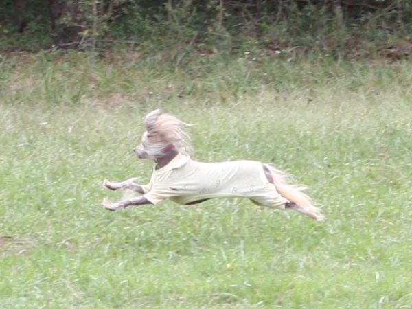 2011_10_01_FunDay_034.JPG
