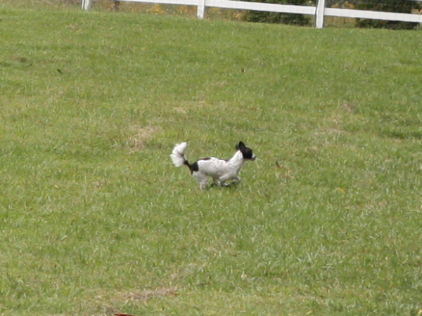 2011_10_01_FunDay_037.JPG