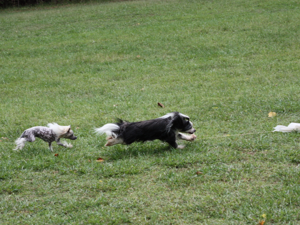 2011_10_01_FunDay_048.JPG