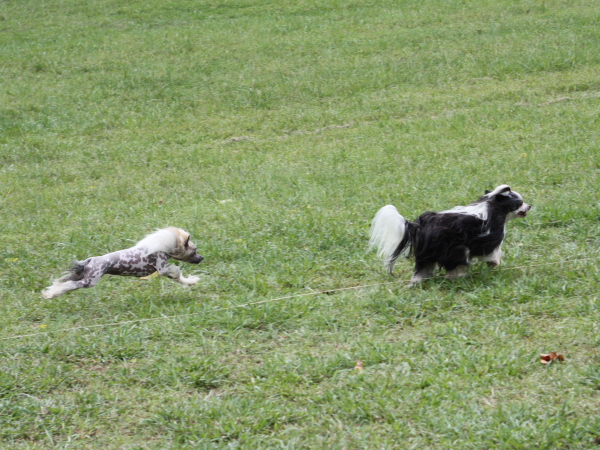 2011_10_01_FunDay_049.JPG