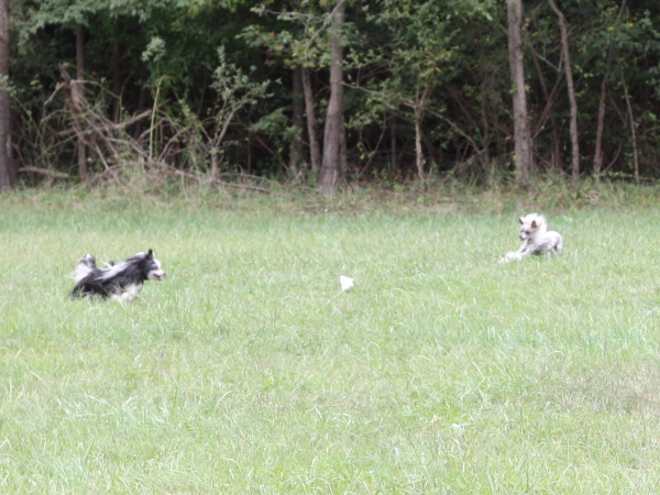 2011_10_01_FunDay_060.JPG