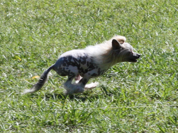 2011_10_01_FunDay_067.JPG