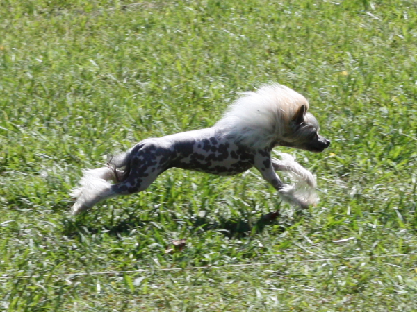 2011_10_01_FunDay_068.JPG