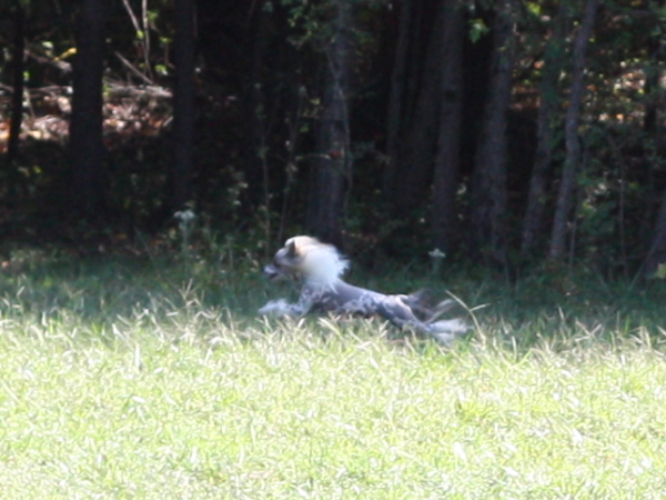 2011_10_01_FunDay_088.JPG