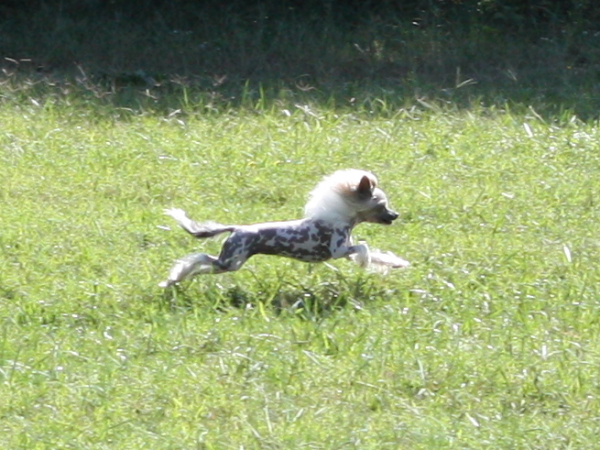 2011_10_01_FunDay_093.JPG