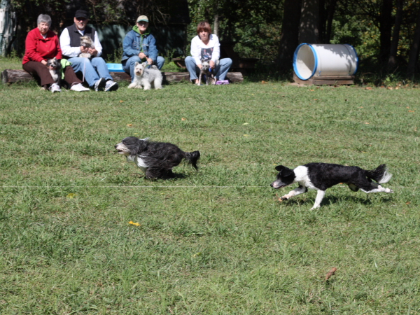2011_10_01_FunDay_107.JPG