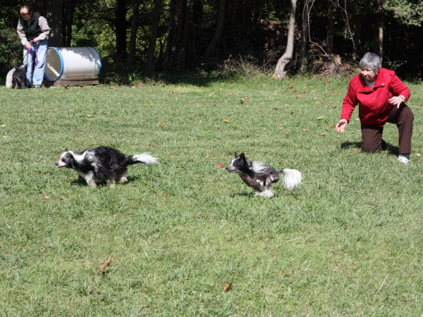 2011_10_01_FunDay_148.JPG