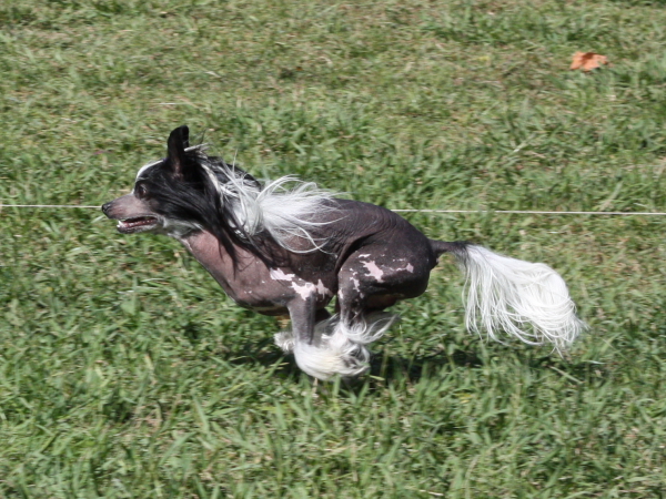 2011_10_01_FunDay_150.JPG