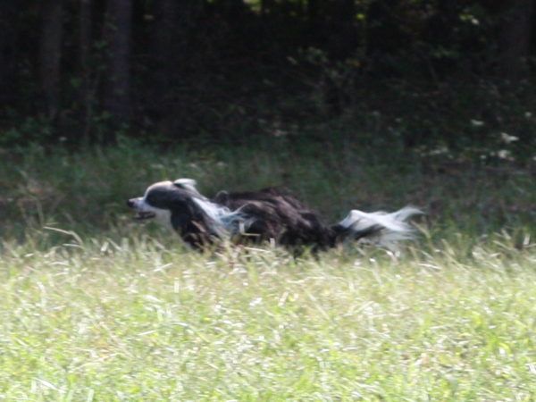 2011_10_01_FunDay_162.JPG