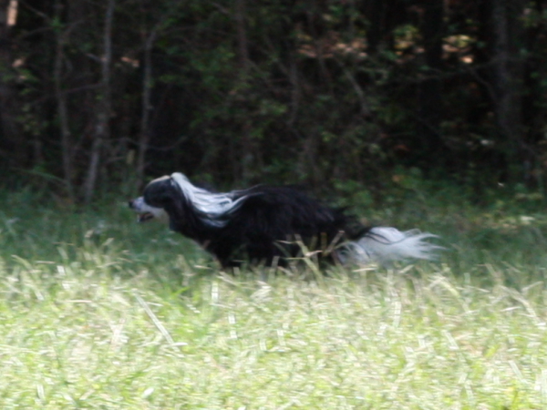 2011_10_01_FunDay_165.JPG