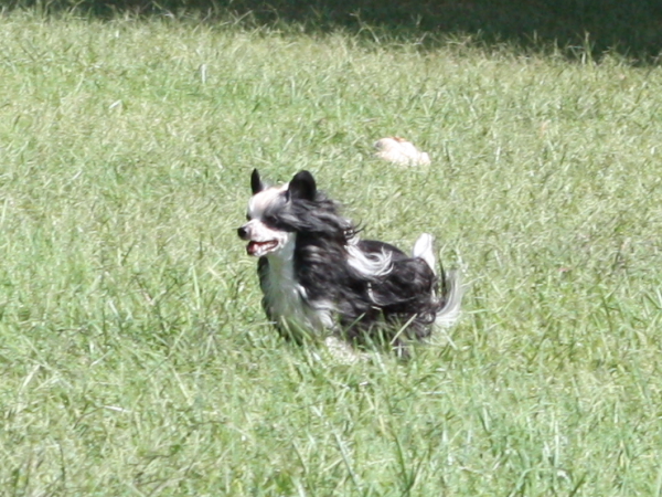 2011_10_01_FunDay_166.JPG