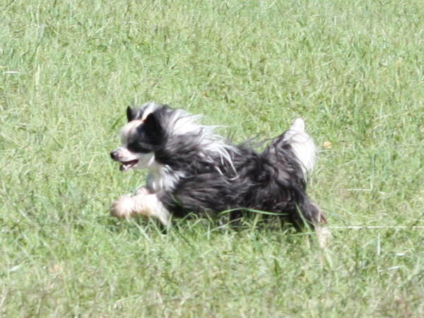 2011_10_01_FunDay_168.JPG