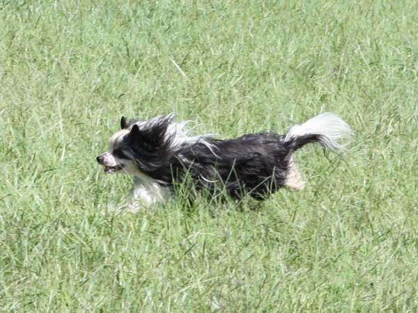 2011_10_01_FunDay_169.JPG