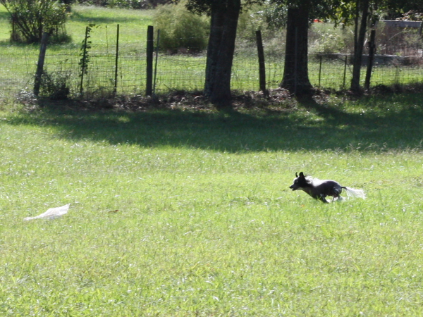 2011_10_01_FunDay_176.JPG
