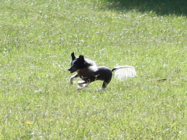 2011_10_01_FunDay_177.JPG