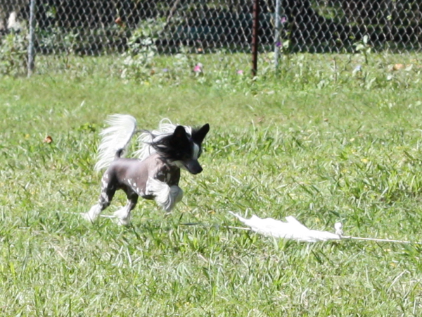 2011_10_01_FunDay_190.JPG