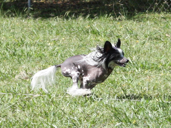 2011_10_01_FunDay_194.JPG
