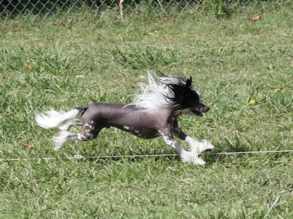 2011_10_01_FunDay_197.JPG