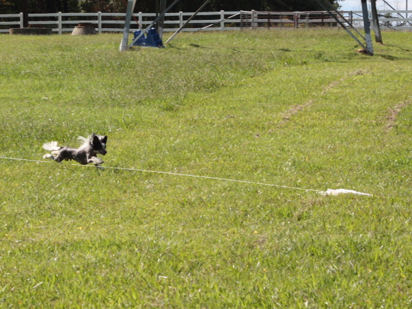 2011_10_01_FunDay_201.JPG