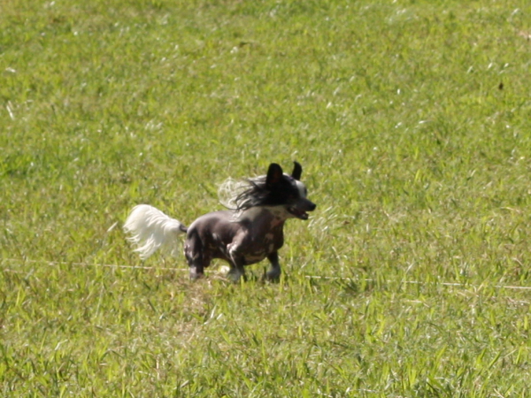 2011_10_01_FunDay_203.JPG