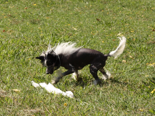2011_10_01_FunDay_208.JPG