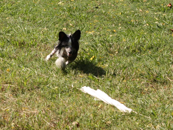 2011_10_01_FunDay_209.JPG