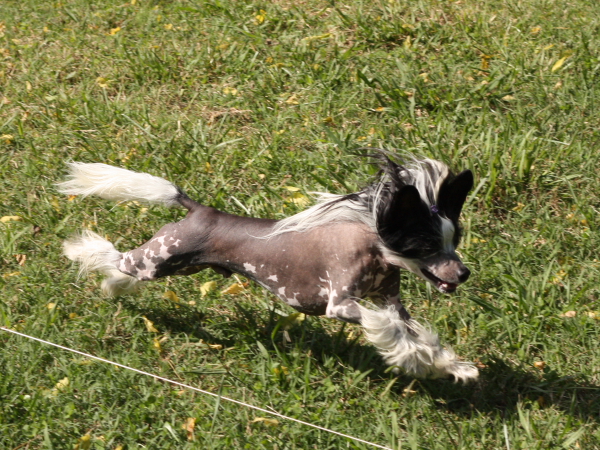 2011_10_01_FunDay_211.JPG