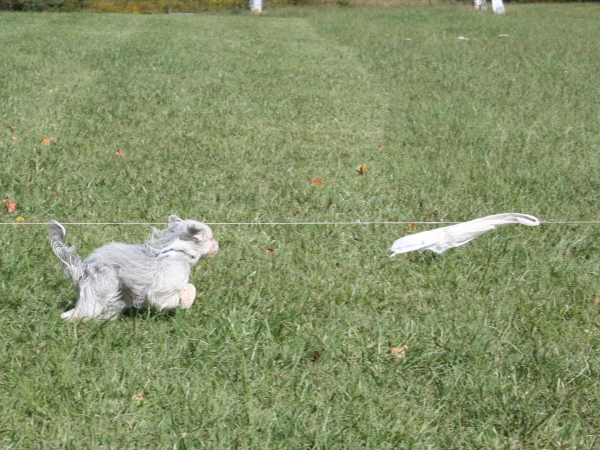 2011_10_01_FunDay_215.JPG
