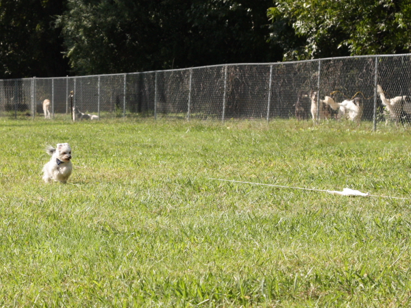 2011_10_01_FunDay_226.JPG