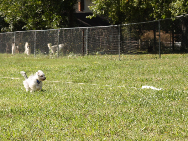 2011_10_01_FunDay_228.JPG