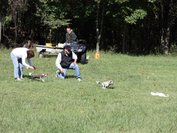 2011_10_01_FunDay_233.JPG