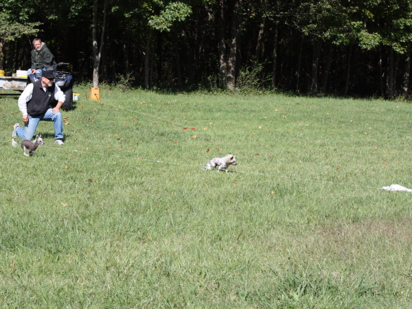 2011_10_01_FunDay_234.JPG