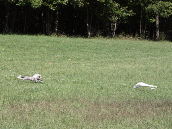 2011_10_01_FunDay_235.JPG