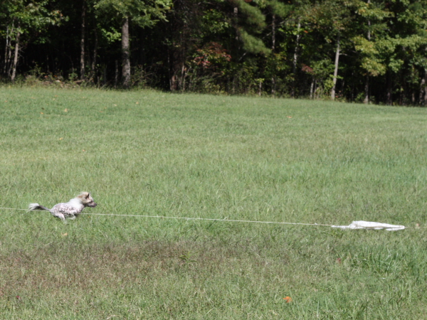 2011_10_01_FunDay_236.JPG