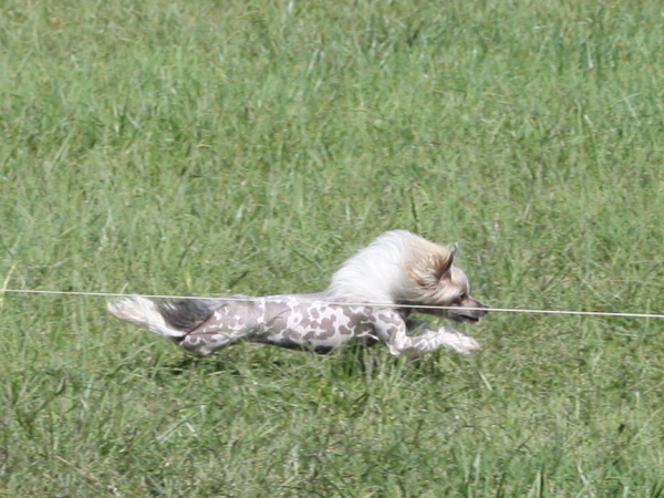 2011_10_01_FunDay_237.JPG
