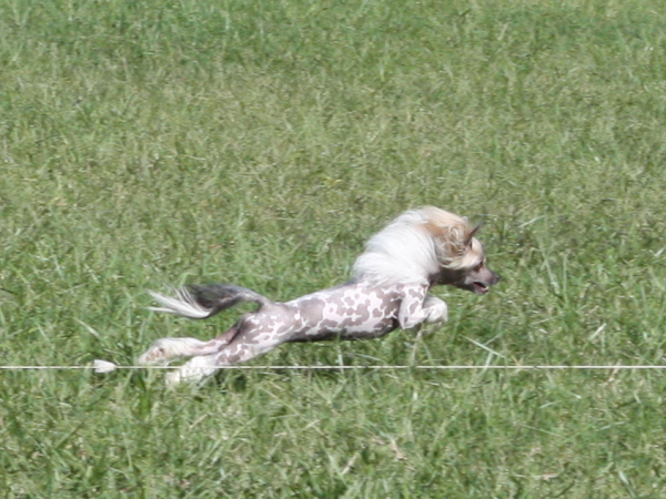 2011_10_01_FunDay_239.JPG