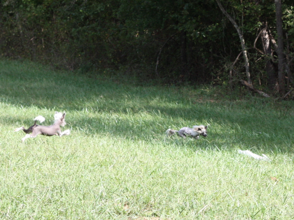 2011_10_01_FunDay_243.JPG