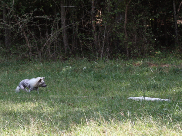 2011_10_01_FunDay_245.JPG