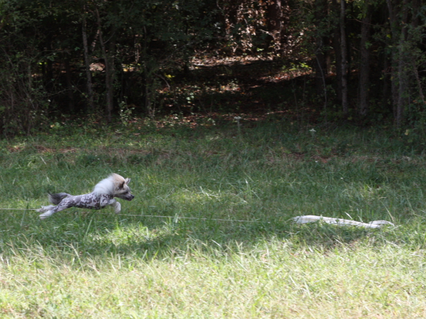 2011_10_01_FunDay_246.JPG