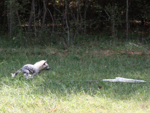 2011_10_01_FunDay_247.JPG