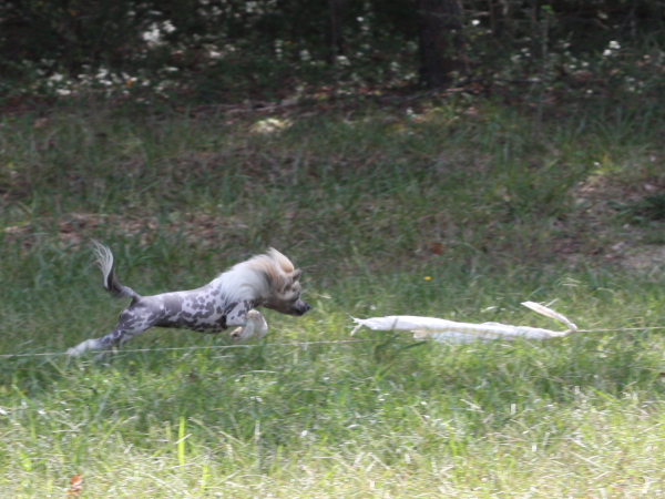 2011_10_01_FunDay_249.JPG