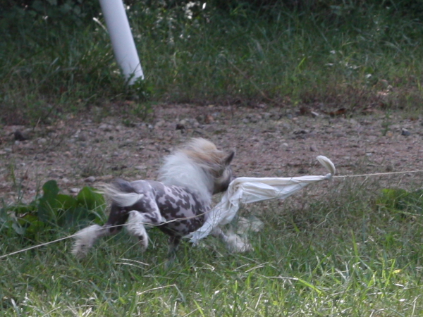 2011_10_01_FunDay_251.JPG