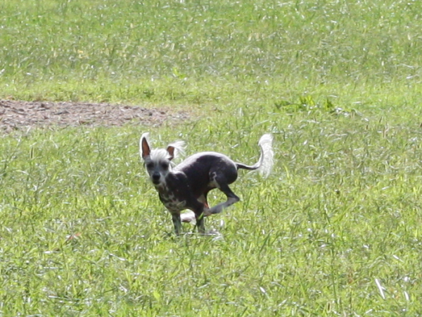 2011_10_01_FunDay_254.JPG
