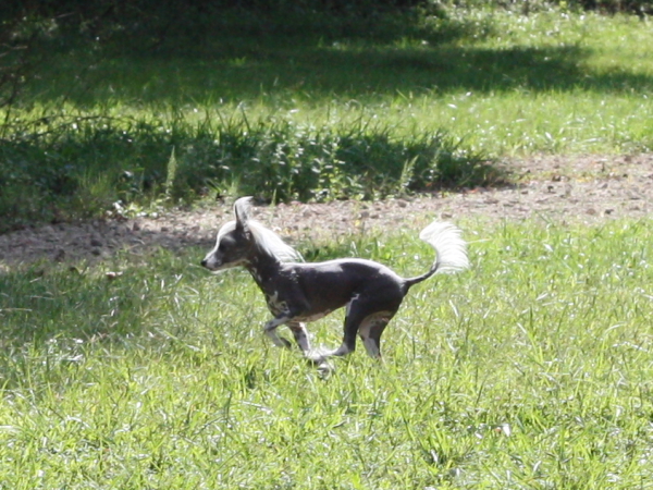 2011_10_01_FunDay_257.JPG
