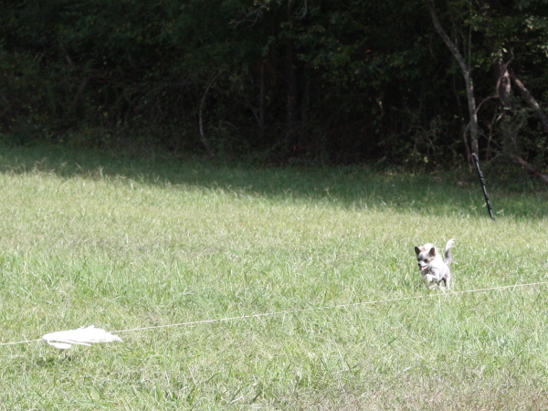2011_10_01_FunDay_260.JPG