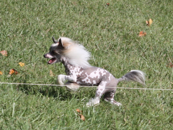 2011_10_01_FunDay_267.JPG