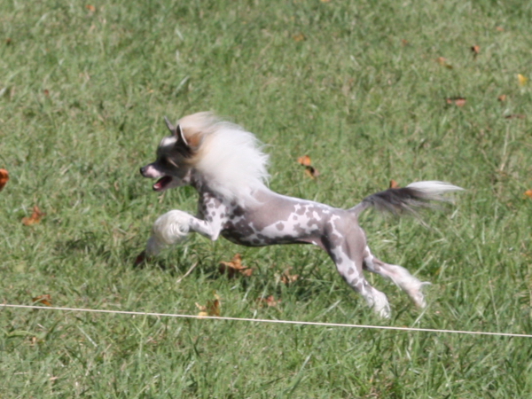 2011_10_01_FunDay_268.JPG