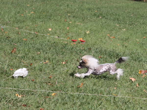 2011_10_01_FunDay_269.JPG