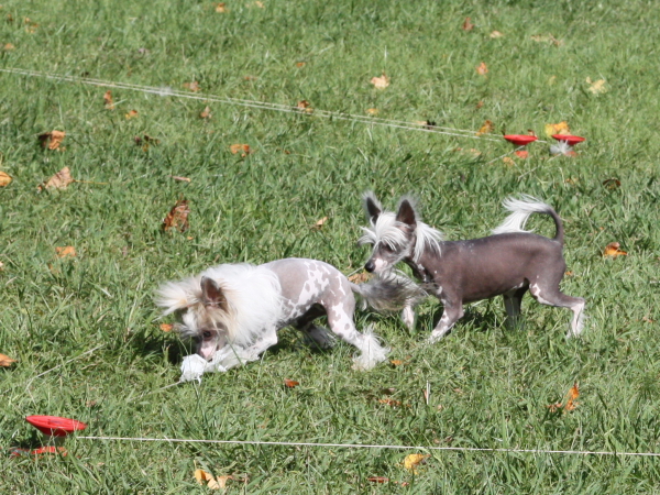 2011_10_01_FunDay_270.JPG